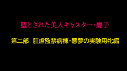 堕とされた美人キャスター・慶子 第二部 肛虐監禁病棟・悪夢の実験用牝編