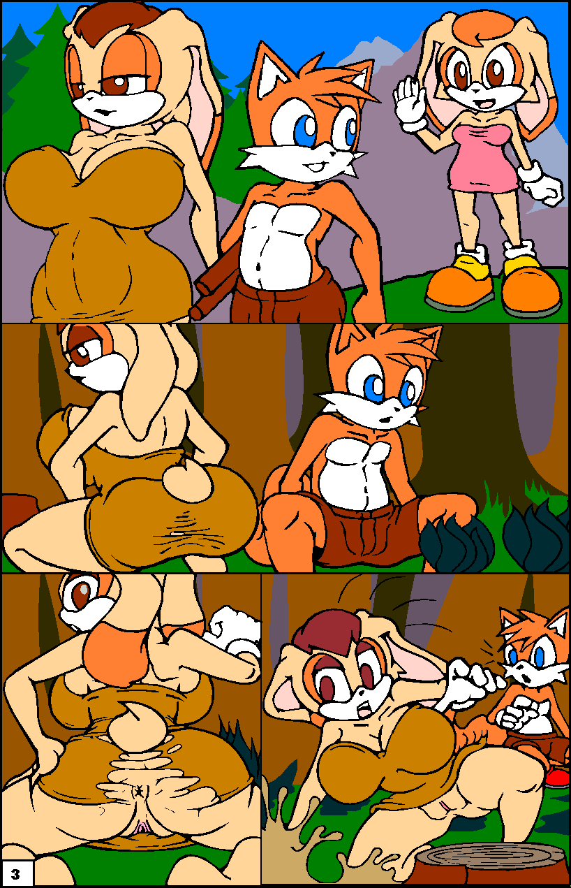 Sonic The Hedgehog Porno - Page 8 - HentaiRox