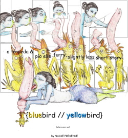 Blue Bird / Yellow Bird | Part 2